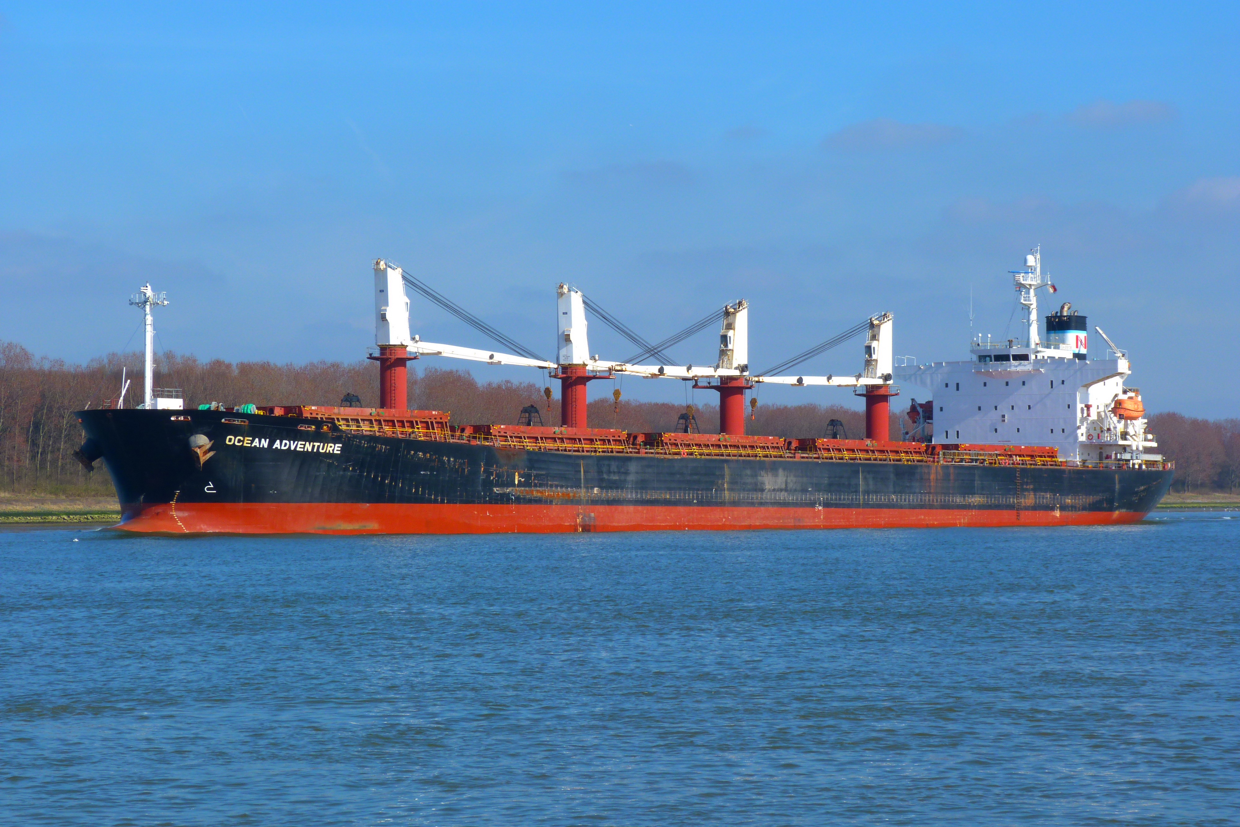 Bulk Carrier
